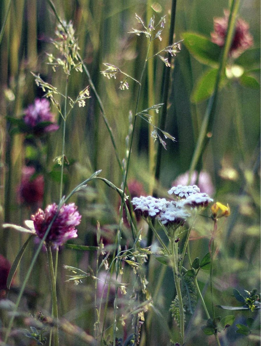Hand-Poured Wild Flower Soy Wax Candle - Aurielle