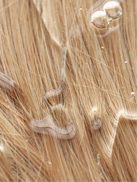Gloss Purifying Shampoo – Smoky Green Vetiver