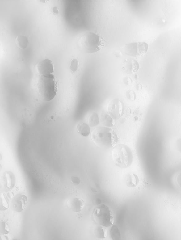 Gentle Purifying Foaming Facial Cleanser